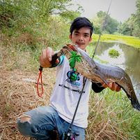 ตกปลา,หมายตกปลา,ผลงานการตกปลา